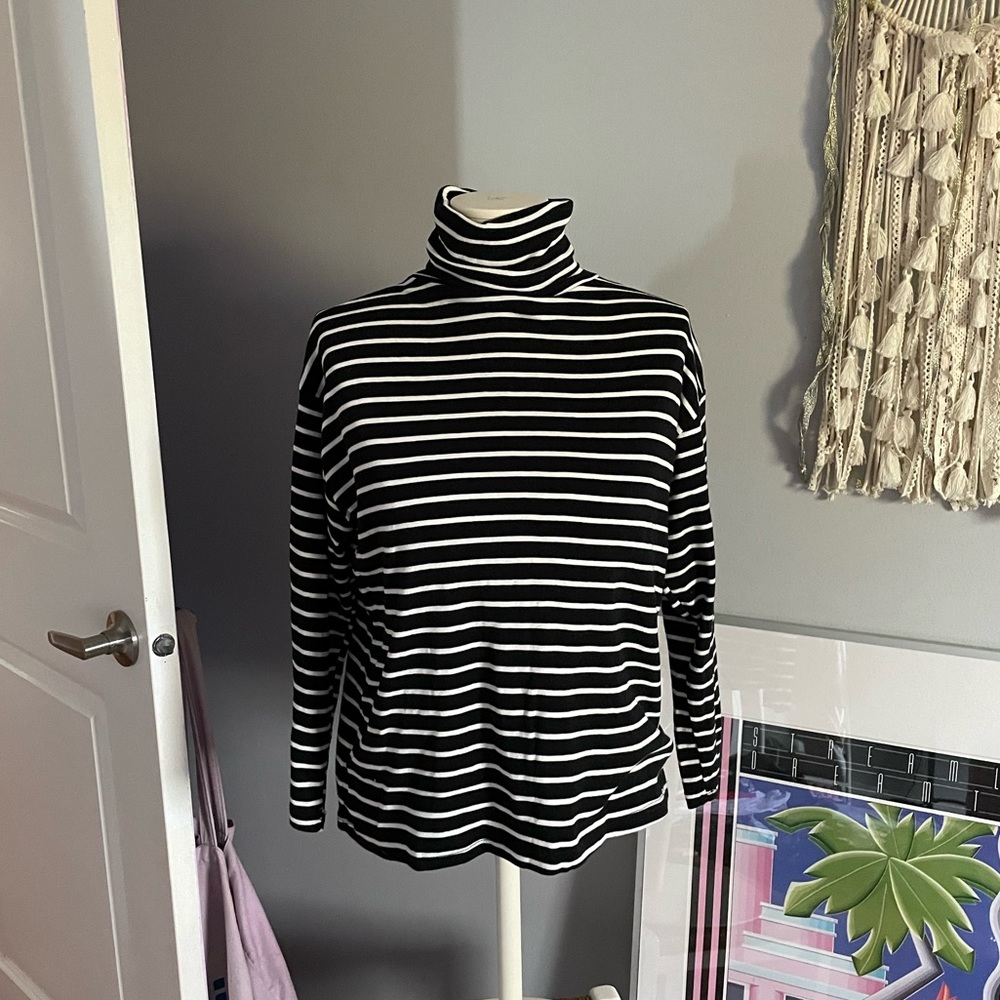 striped turtleneck long sleeve top